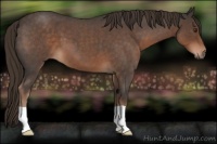 Horse Color:Liver Red Roan 