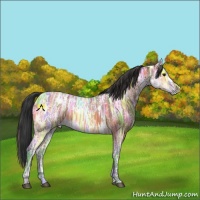 Horse Color:White Spotted Bay Ice 