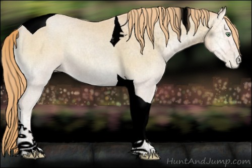 Horse Color:Void Buckskin Roan Pearl Onyx Tobiano