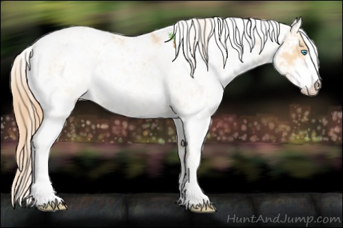 Horse Color:Buckskin Pearl Sabino 