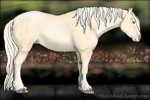 Horse Color:Palomino Pearl Sabino