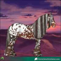 Horse Color:White Spotted Liver Chestnut Blanket 