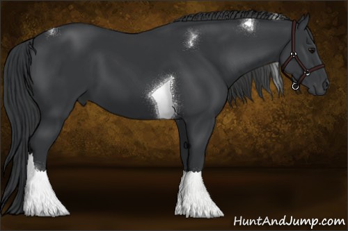 Horse Color:Black Sabino Tobiano 