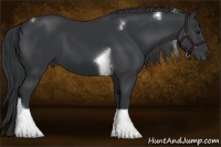 Horse Color:Black Sabino Tobiano 