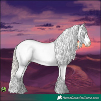 Horse Color:White Spotted Palomino Pearl Varnish
