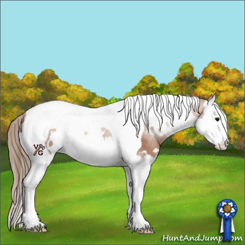 Horse Color:White Spotted Black Pearl Splash Tobiano 