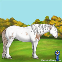 Horse Color:White Spotted Black Pearl Splash Tobiano 