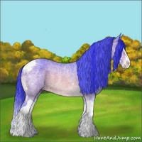 Horse Color:Watercolor Bay Ice Roan Splash Tobiano 
