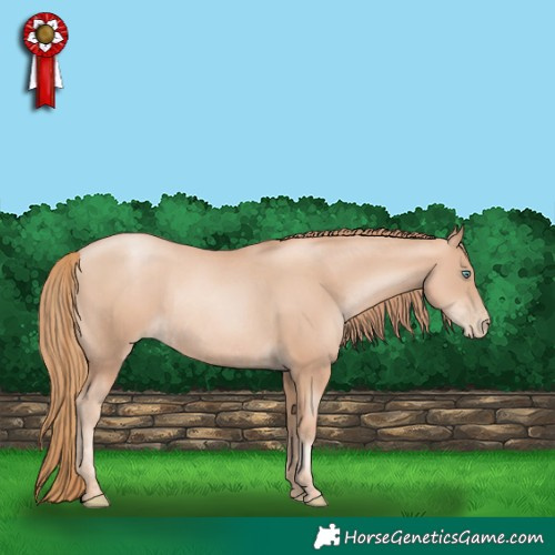 Horse Color:Gold Champagne Pearl Rabicano  and Gold Champagne Pearl Rabicano 