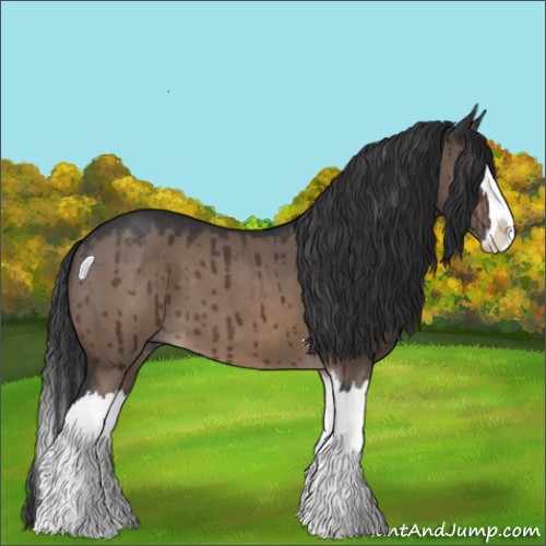 Horse Color:Brown Roan Dun Splash Brindle 
