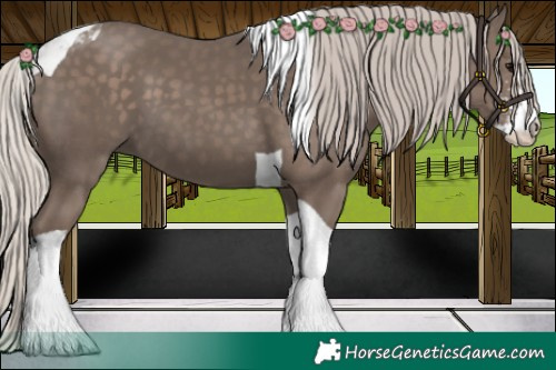 Horse Color:Silver Black Sabino Tobiano 