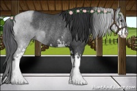 Horse Color:Blue Roan Sabino Rabicano 