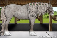 Horse Color:Silver Blue Roan Sabino 