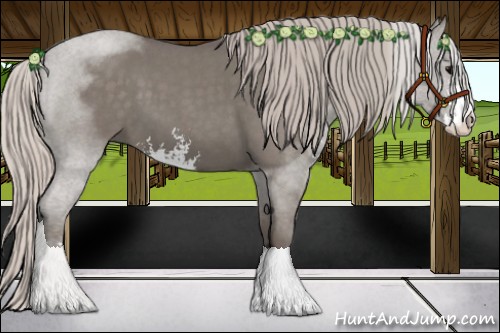 Horse Color:Silver Blue Roan Sabino 