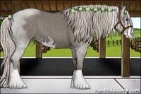 Horse Color:Silver Blue Roan Sabino 