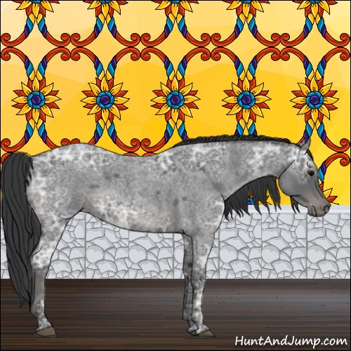 Horse Color:Blue Ice Roan 