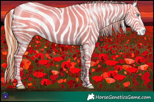 Horse Color:Smoky Black Pearl Sabino 