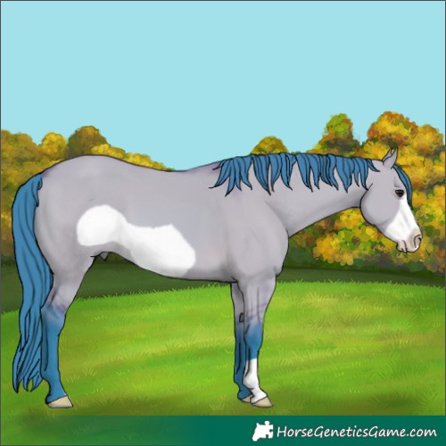 Horse Color:Watercolor Bay Dun Frame 
