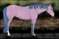 Horse Color:Watercolor Amber Cream Champagne