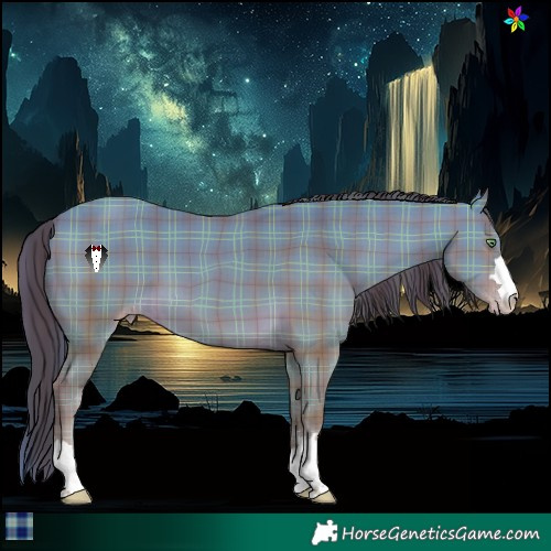Horse Color:Plaid  Amber Cream Champagne 