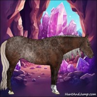 Horse Color:Silver Brown Ice Rabicano 