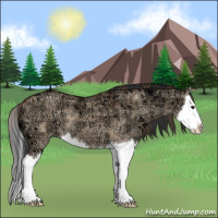 Horse Color:Plaid  Bay Ice Dun Sabino Splash 