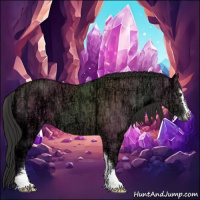 Horse Color:Liver Red Dun Ice Sabino 
