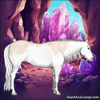 Horse Color:Silver Perlino Splash 