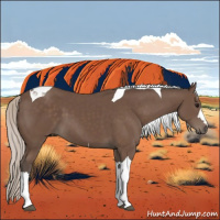 Horse Color:Silver Black Tobiano 