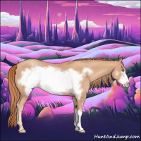 Horse Color:Gold Champagne Frame 