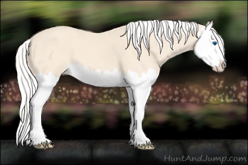 Horse Color:Silver Perlino Splash 