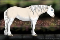 Horse Color:Silver Perlino Splash 