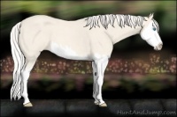 Horse Color:Cremello Roan Splash 