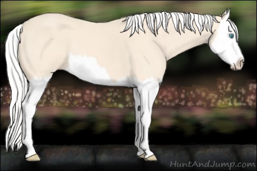 Horse Color:Silver Perlino Splash