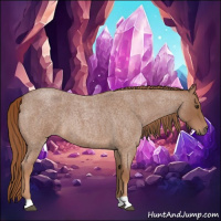 Horse Color:Red Roan 