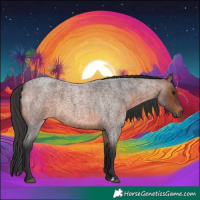 Horse Color:Brown Roan 