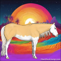 Horse Color:Palomino Splash 