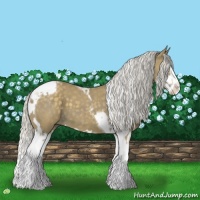 Horse Color:Silver Smoky Blue Roan Splash Tobiano  and Silver Smoky Blue Roan Splash Tobiano 