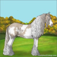 Horse Color:Silver Grullo Roan Splash Tobiano Frame  and Silver Grullo Roan Splash Frame 