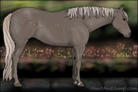 Horse Color:Silver Black