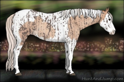 Horse Color:Silver Blue Roan Splash Tobiano  and Silver Classic Champagne Roan Splash Tobiano 