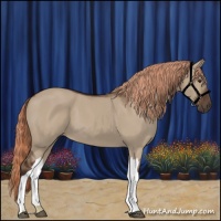 Horse Color:Liver Red Dun 