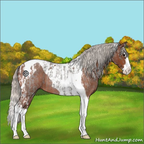 Horse Color:Silver Blue Roan Splash Tobiano  and Silver Bay Roan Splash Tobiano 