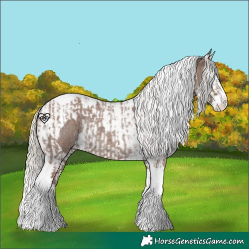 Horse Color:Silver Blue Roan Splash Tobiano  and Silver Blue Roan Splash Tobiano 