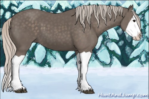Horse Color:Silver Black Splash 