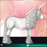 Horse Color:Smoky Creme Dun Sabino  and Silver Smoky Creme Dun Sabino 