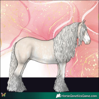 Horse Color:Cremello Sabino  and Cremello Sabino 