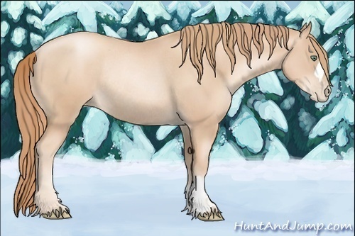 Horse Color:Gold Champagne Pearl Rabicano  and Gold Champagne Pearl Rabicano 