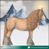 Horse Color:Gold Champagne Splash