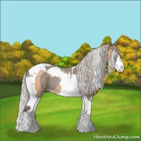 Horse Color:Silver Blue Roan Splash Tobiano  and Silver Bay Roan Splash Tobiano 